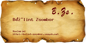 Bálint Zsombor névjegykártya
